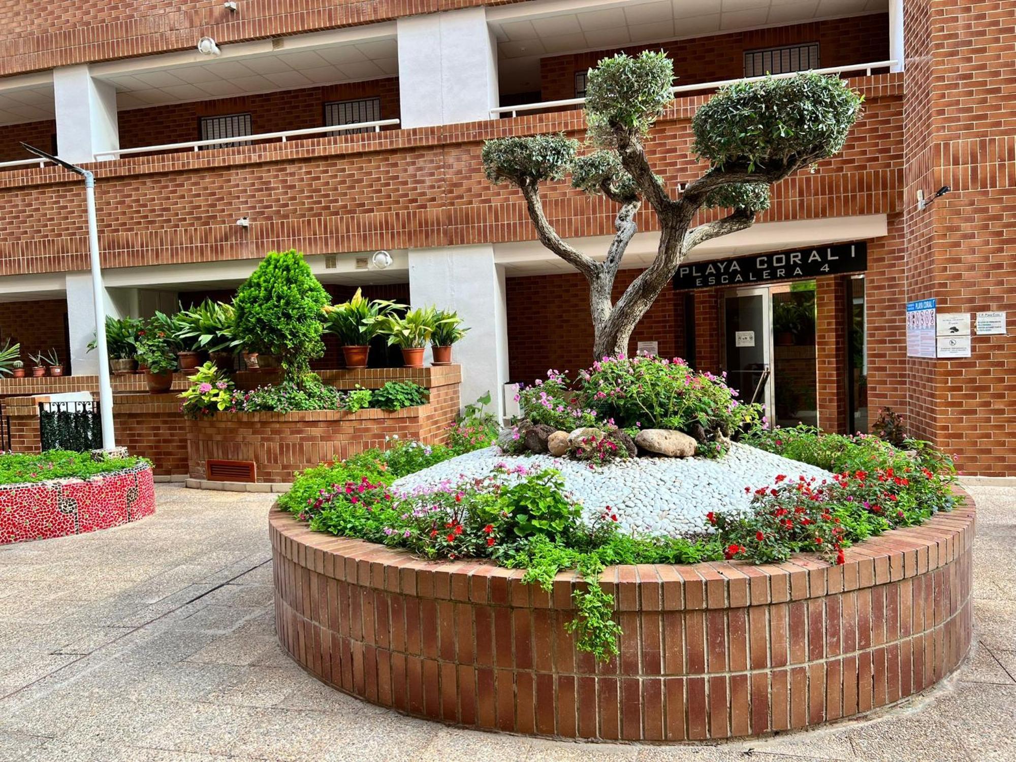 Ferienwohnung Playa Coral I Nº 1083 Oropesa del Mar Exterior foto
